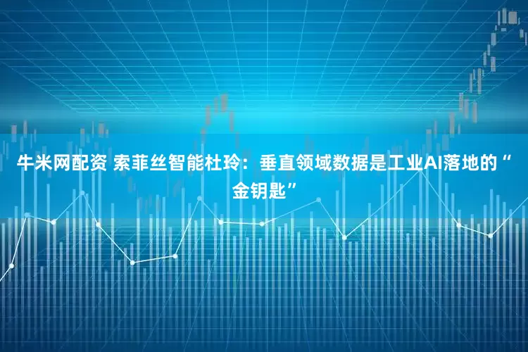 牛米网配资 索菲丝智能杜玲：垂直领域数据是工业AI落地的“金钥匙”