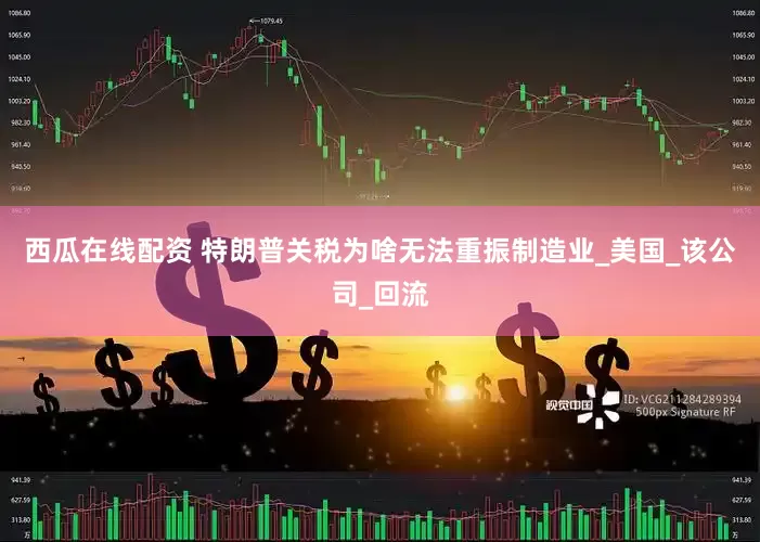 西瓜在线配资 特朗普关税为啥无法重振制造业_美国_该公司_回流